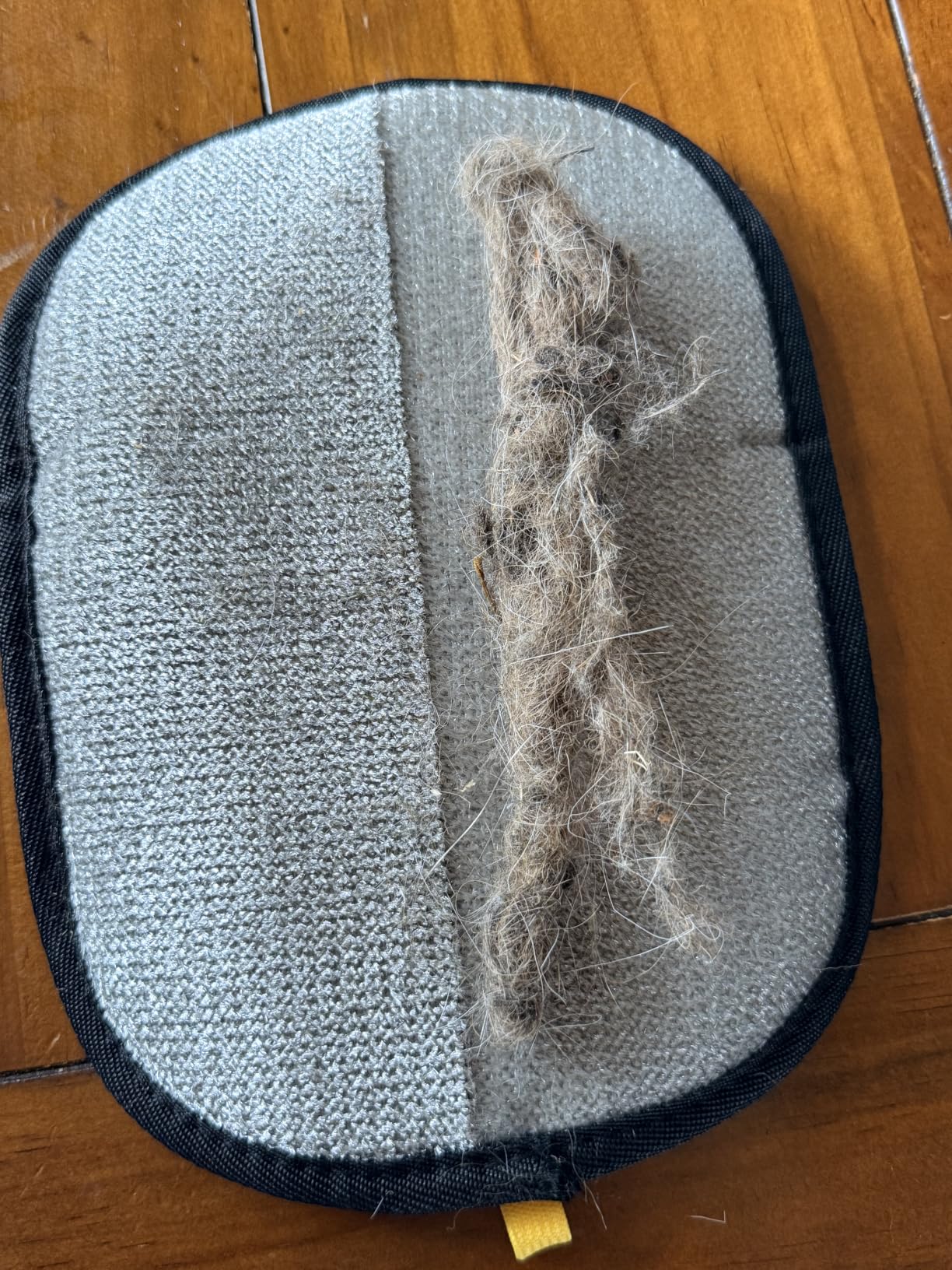 Pet hair gathered into a strip on the glove's fabric mesh
