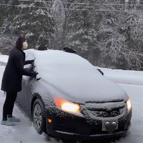 ❄️ Less Scraping, Easier Mornings! 🛡️ Magnetic Windshield Snow & Frost Cover