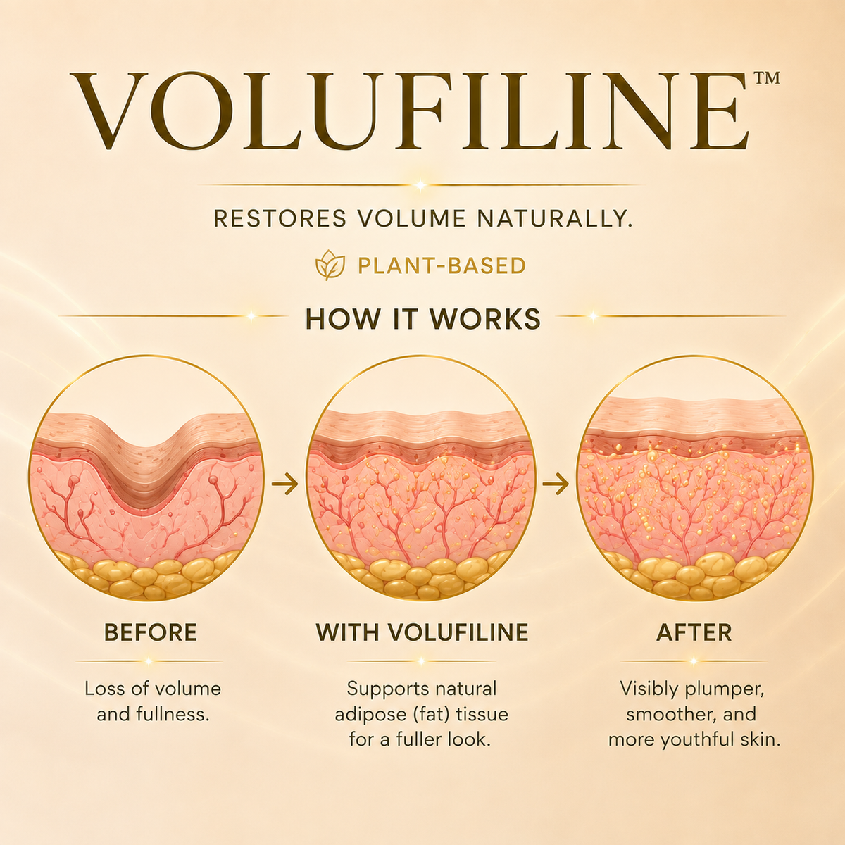 🔥 ✨ Deep Collagen Silk Lifting Peptide Ampoule 🧬