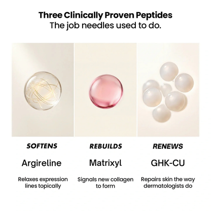 🔥 ✨ Deep Collagen Silk Lifting Peptide Ampoule 🧬